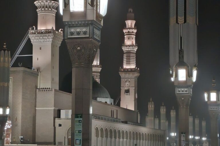 المدينة المنورة